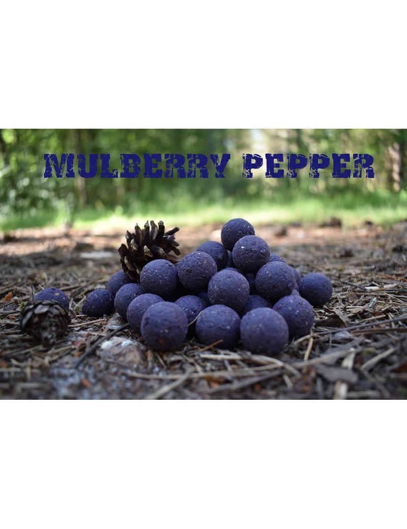 bouillette pêche carpe mulberry pepper